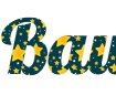 Erstellen Sie ein Logo mit Stern-Foto - Schrift Lobster in PNG-Format