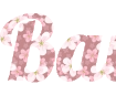 Erstellen Sie eine schöne Aufschrift mit einem Hintergrund aus Sakura-Blättern - PNG Schrift Lobster