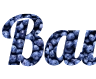 Schöne Schilderung mit Johannisbeeren-Hintergrund - Schrift Lobster