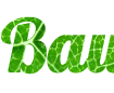 Erstellen Sie eine schöne Textschrift online mit einem Hintergrund aus grünem Blatt - Schrift Lobster