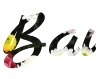 Erstellen Sie eine schöne 3D-Schrift online! Wählen Sie einen Farbton, ein Linien- oder Radien-Gradient und fügen Sie einen realistischen 3D-Raum oder ein helle Neon-Glitz hinzu.