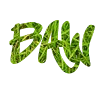 Beautiful Street Soul Graffiti Font